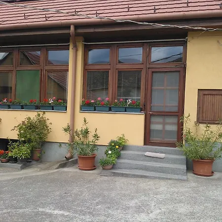 Vogel Agi Vendeghaza Apartmán *